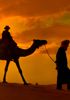SaharaTrek Morocco's Deserts and Empires Tour