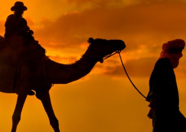 SaharaTrek Morocco's Deserts and Empires Tour