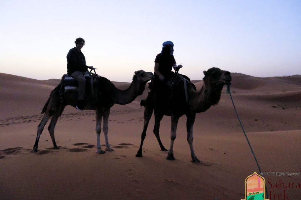 Camel Riding in the Sahara