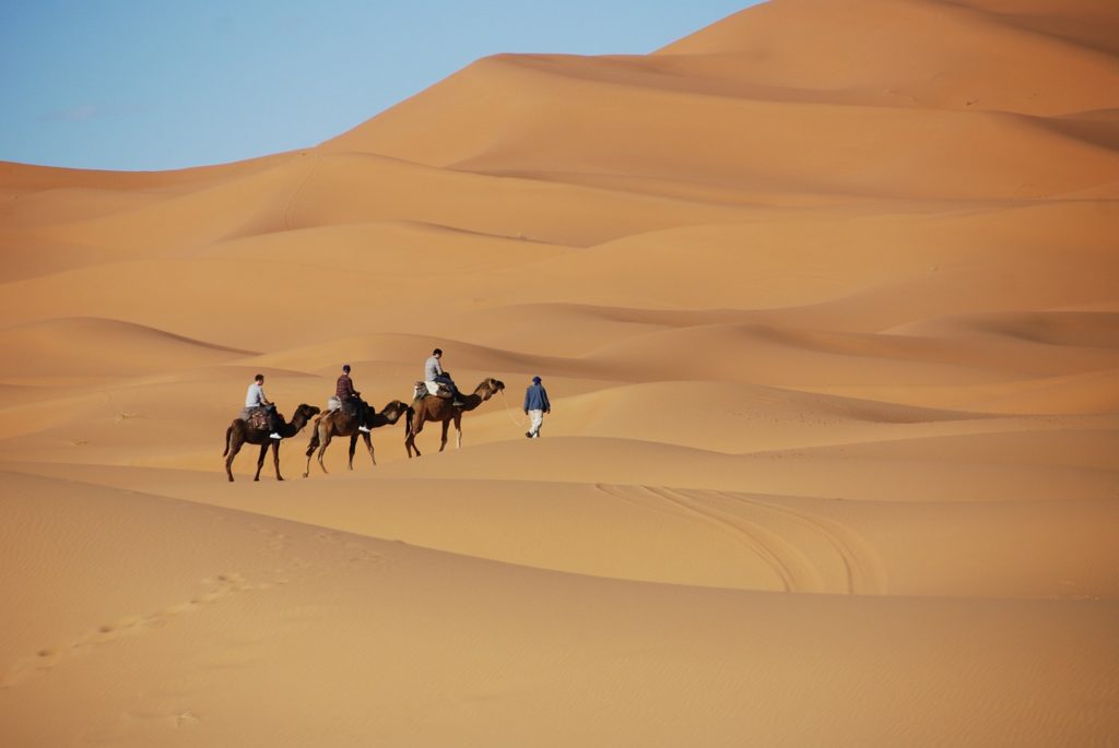 Discover Morocco's adventure.