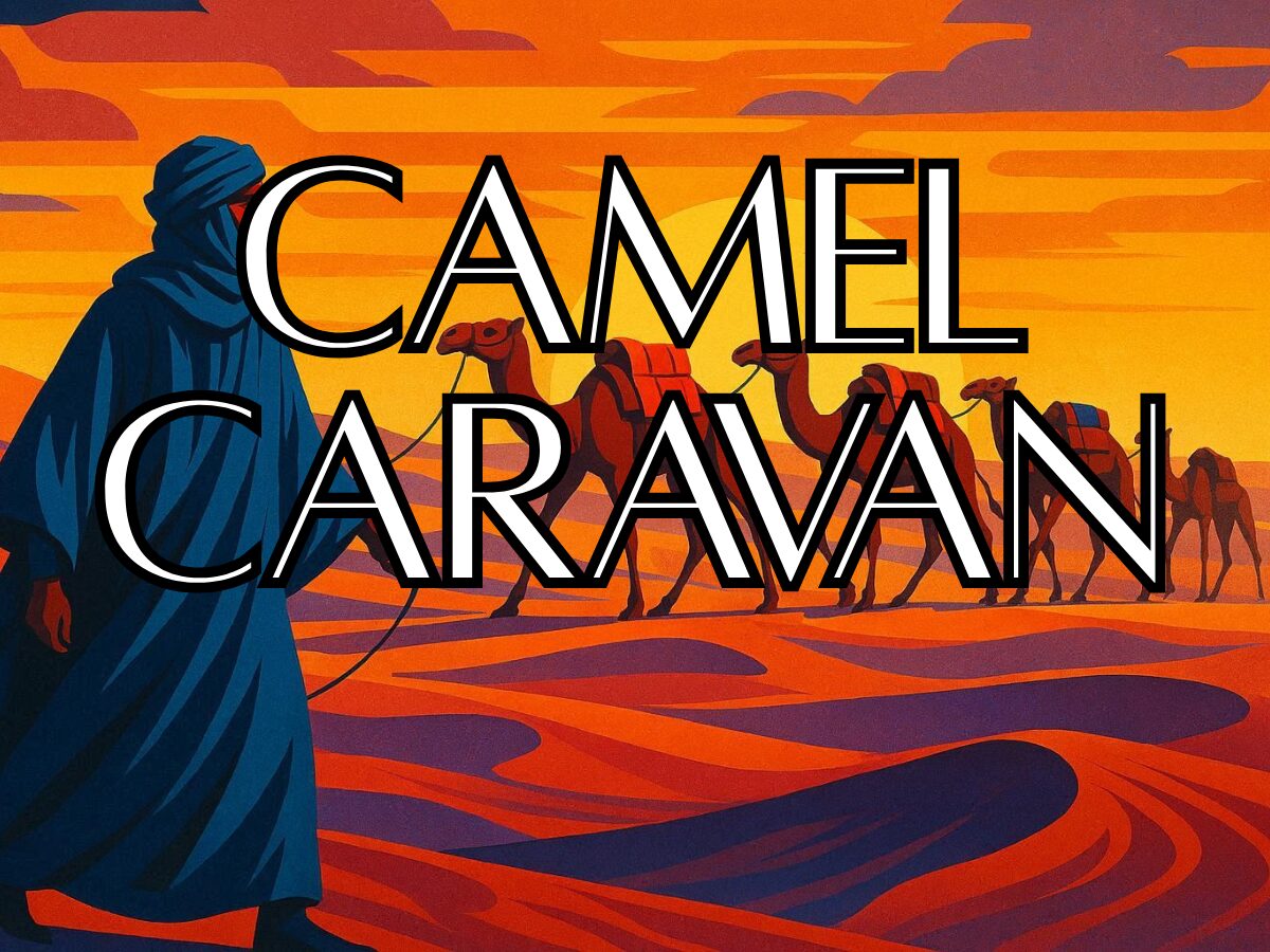 Sahara Sunset Camel Ride: Desert Adventure | SaharaTrek